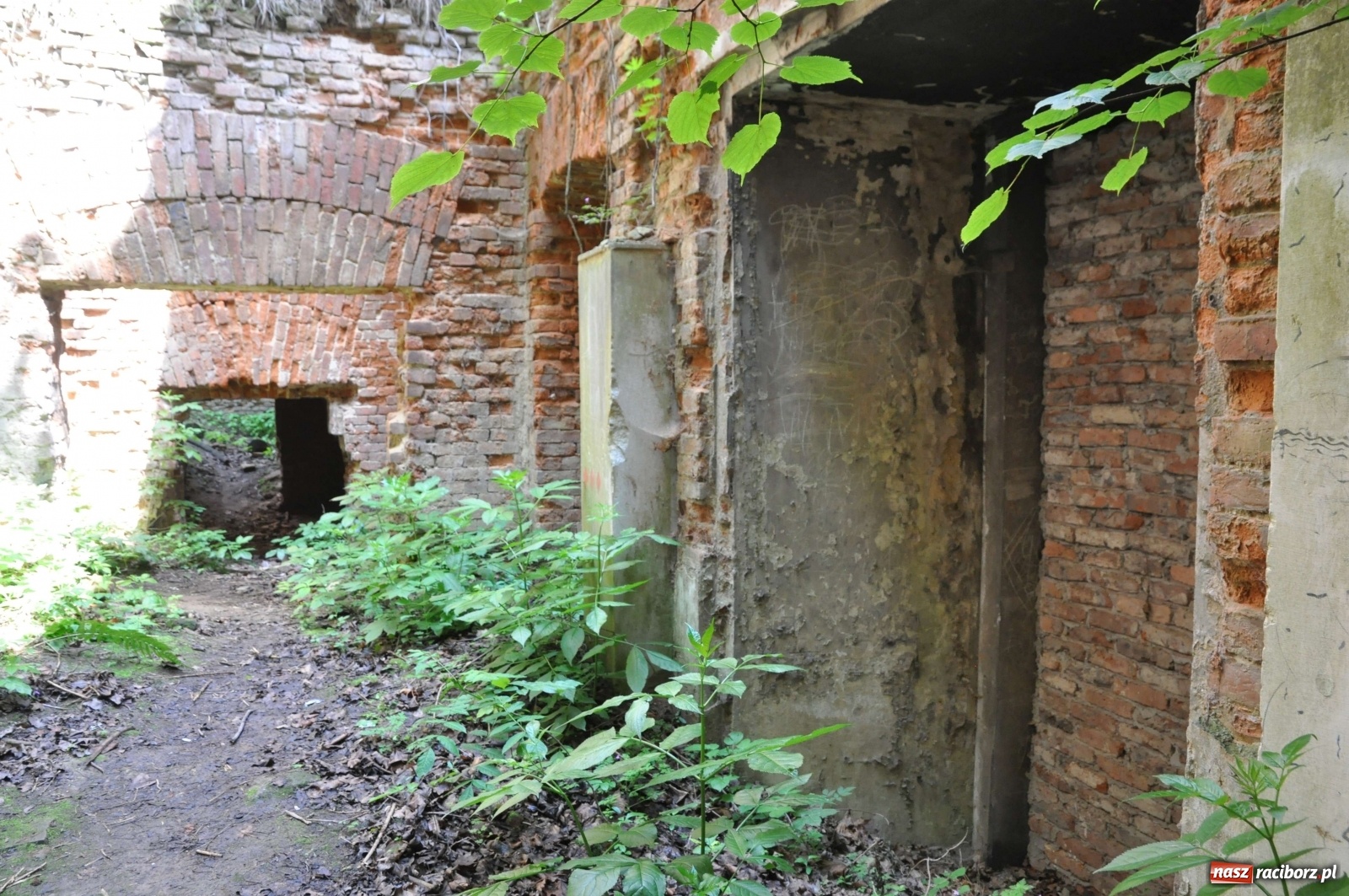 Zdjęcie w galerii na portalu naszraciborz.pl: Pałac w Sławikowie wraca do życia [FOTO i WIDEO]  wiadomości z regionu