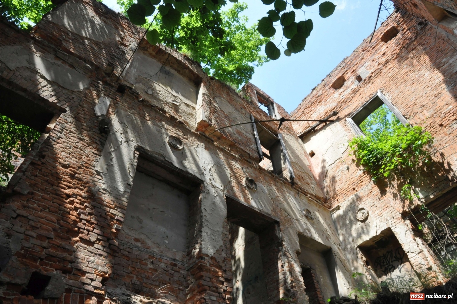 Zdjęcie w galerii na portalu naszraciborz.pl: Pałac w Sławikowie wraca do życia [FOTO i WIDEO]  wiadomości z regionu