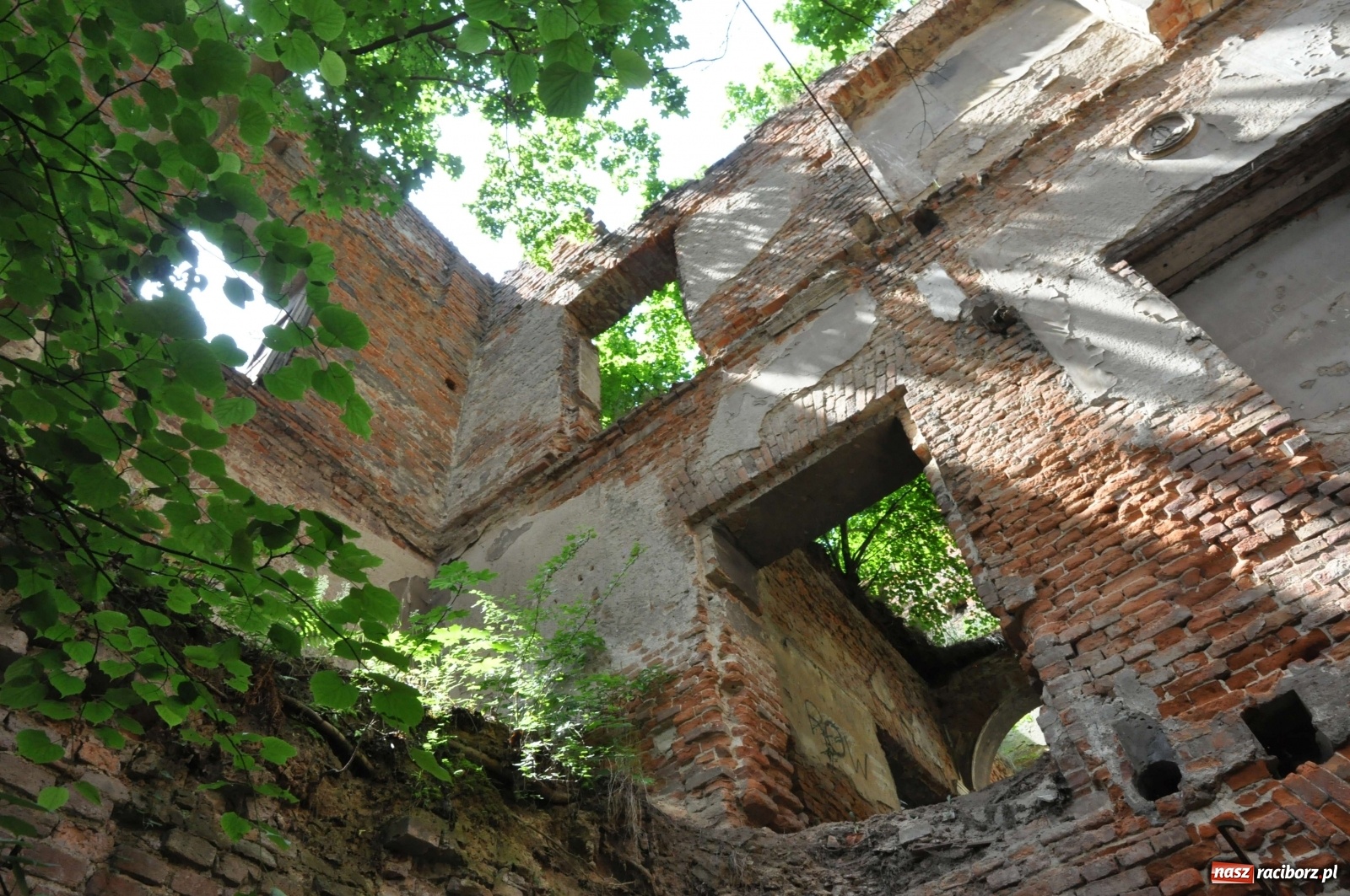 Zdjęcie w galerii na portalu naszraciborz.pl: Pałac w Sławikowie wraca do życia [FOTO i WIDEO]  wiadomości z regionu