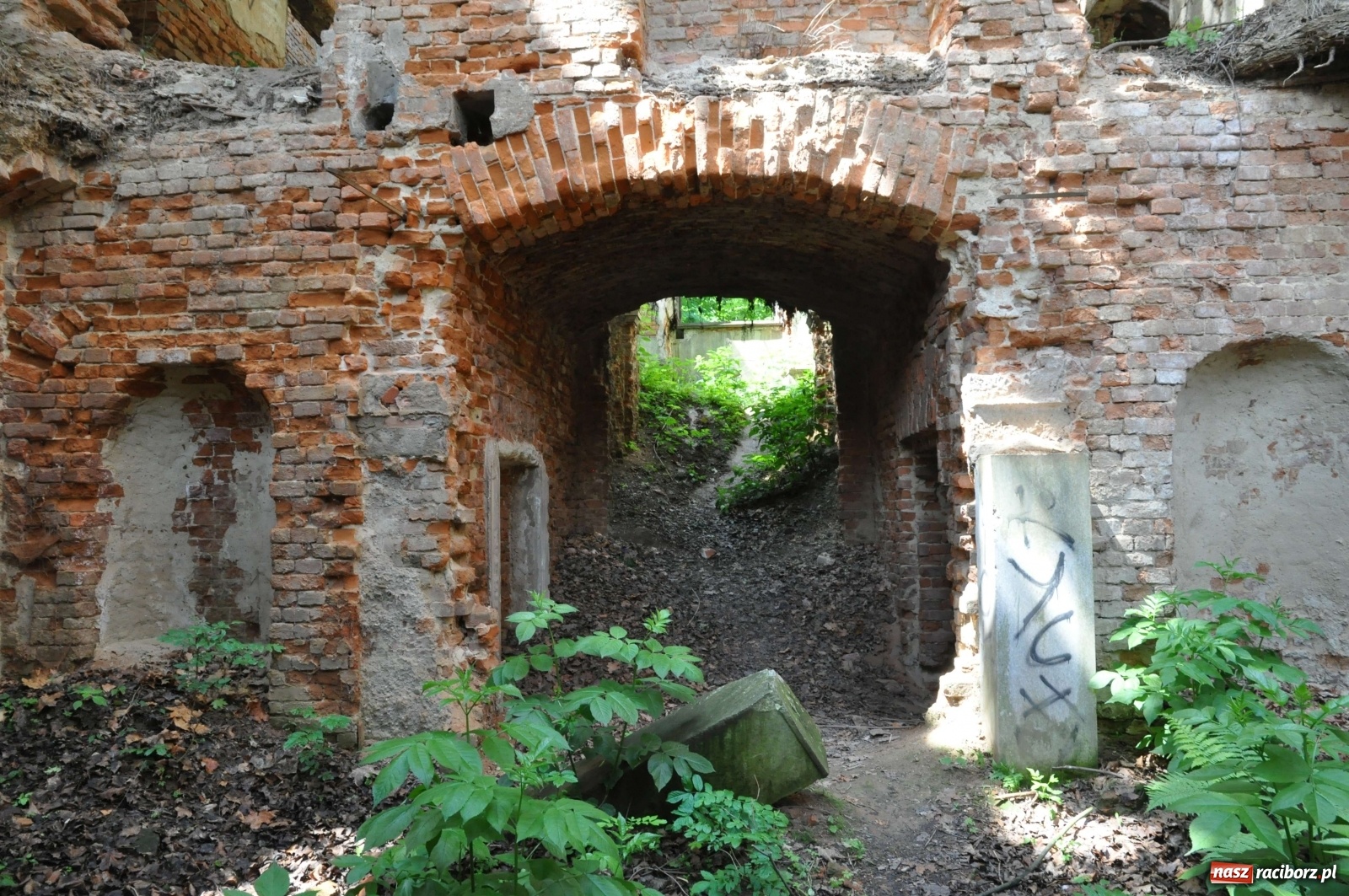 Zdjęcie w galerii na portalu naszraciborz.pl: Pałac w Sławikowie wraca do życia [FOTO i WIDEO]  wiadomości z regionu