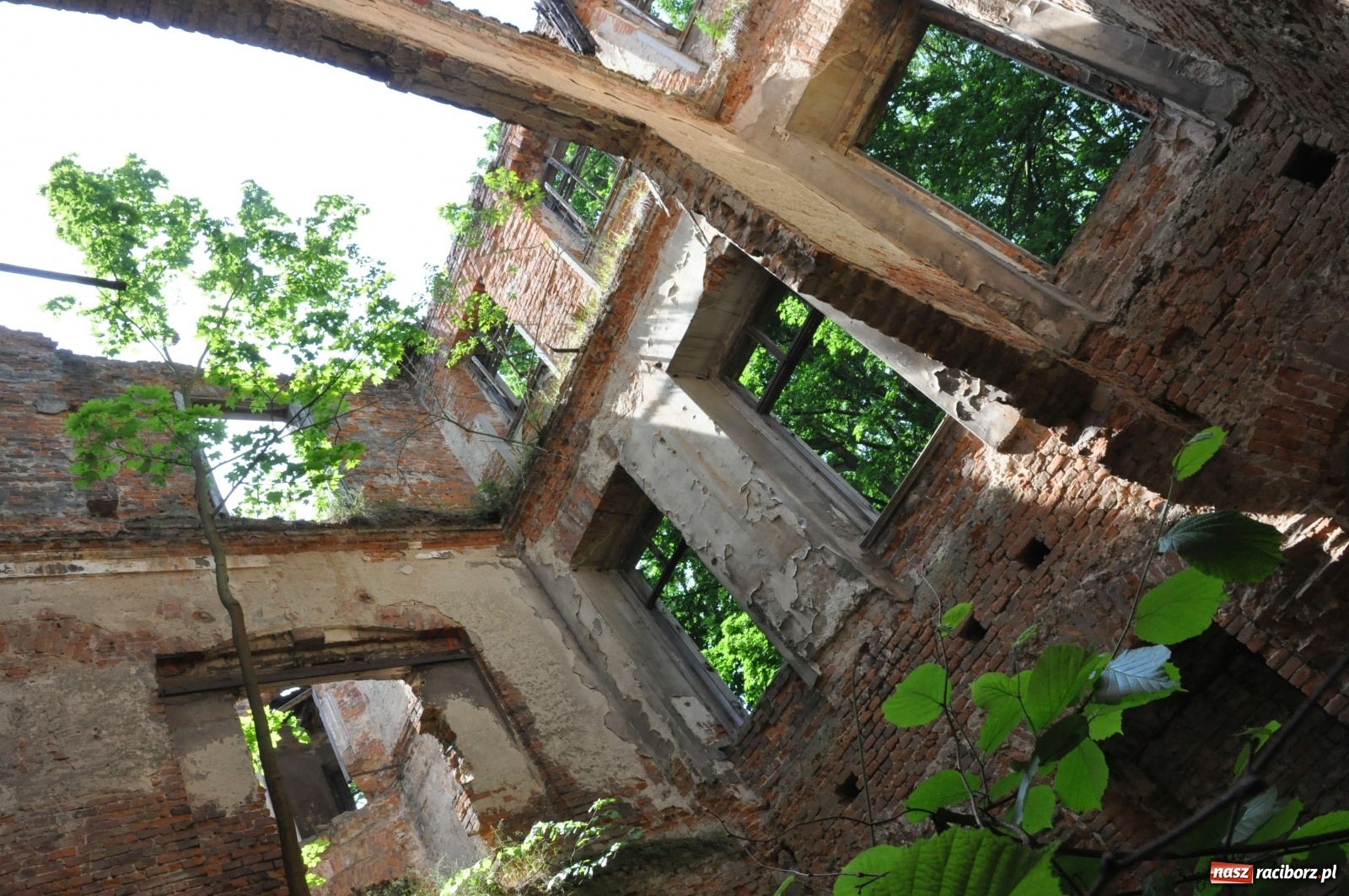 Zdjęcie w galerii na portalu naszraciborz.pl: Pałac w Sławikowie wraca do życia [FOTO i WIDEO]  wiadomości z regionu