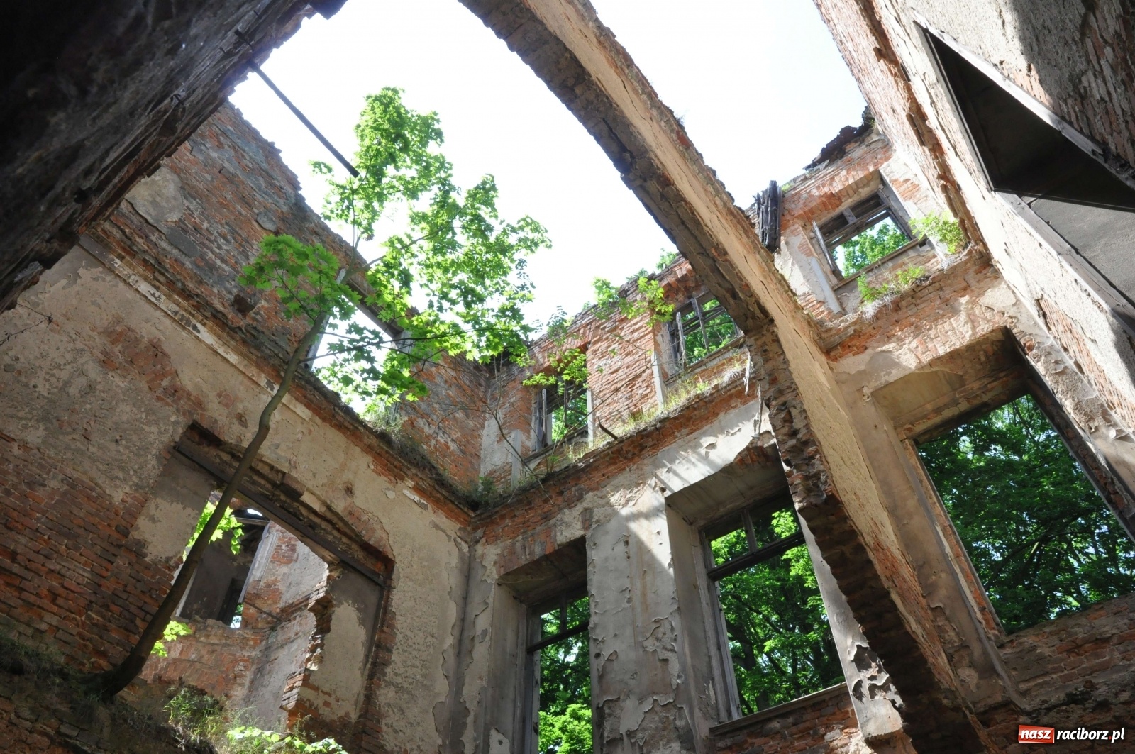 Zdjęcie w galerii na portalu naszraciborz.pl: Pałac w Sławikowie wraca do życia [FOTO i WIDEO]  wiadomości z regionu