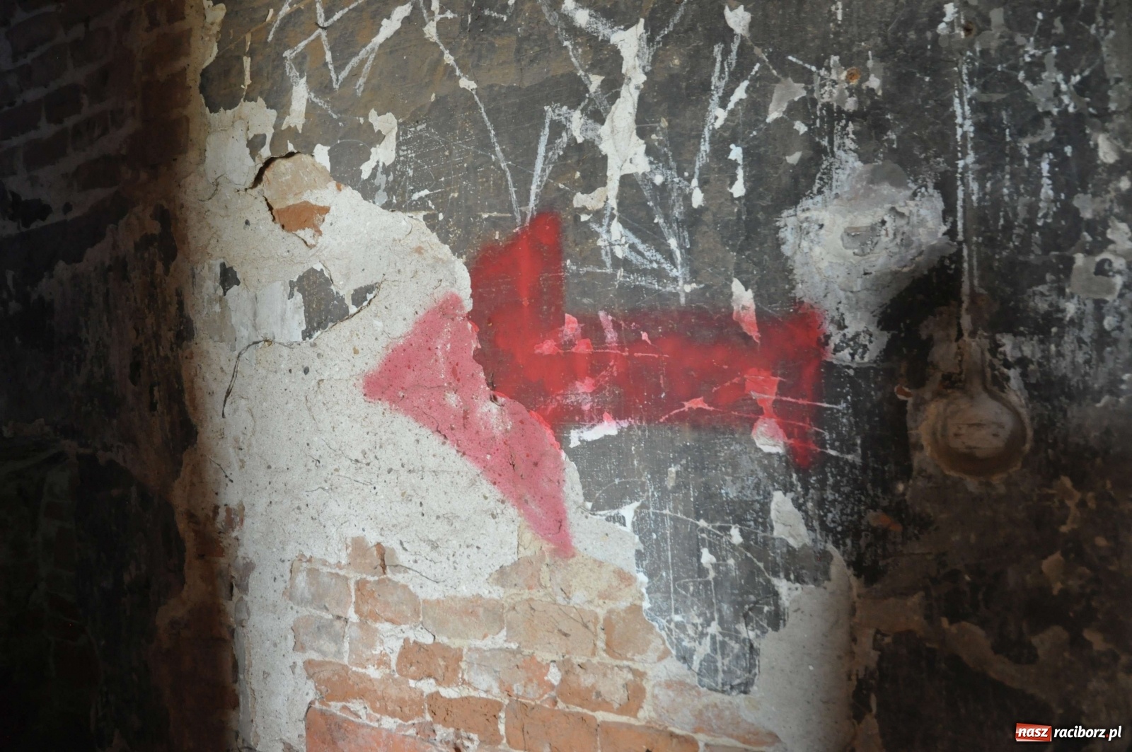 Zdjęcie w galerii na portalu naszraciborz.pl: Pałac w Sławikowie wraca do życia [FOTO i WIDEO]  wiadomości z regionu