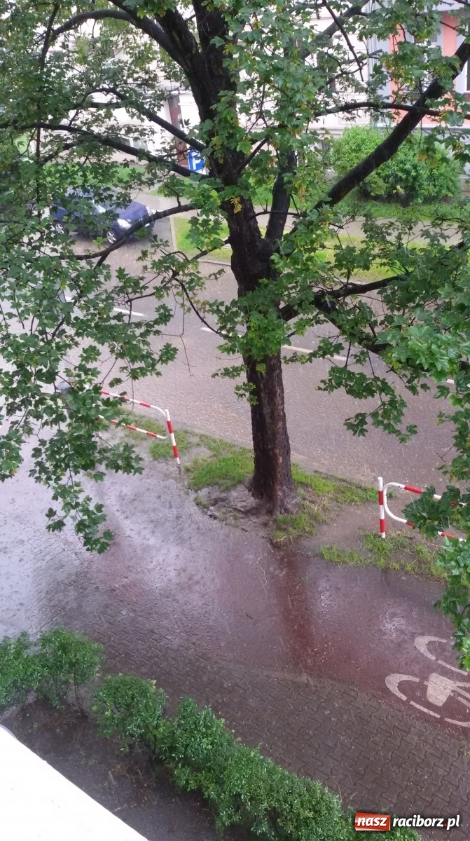 Zdjęcie w galerii na portalu naszraciborz.pl: Coś poszło nie tak! Ulica Kościuszki po deszczu tonie [FOTO i WIDEO]  wiadomości z regionu