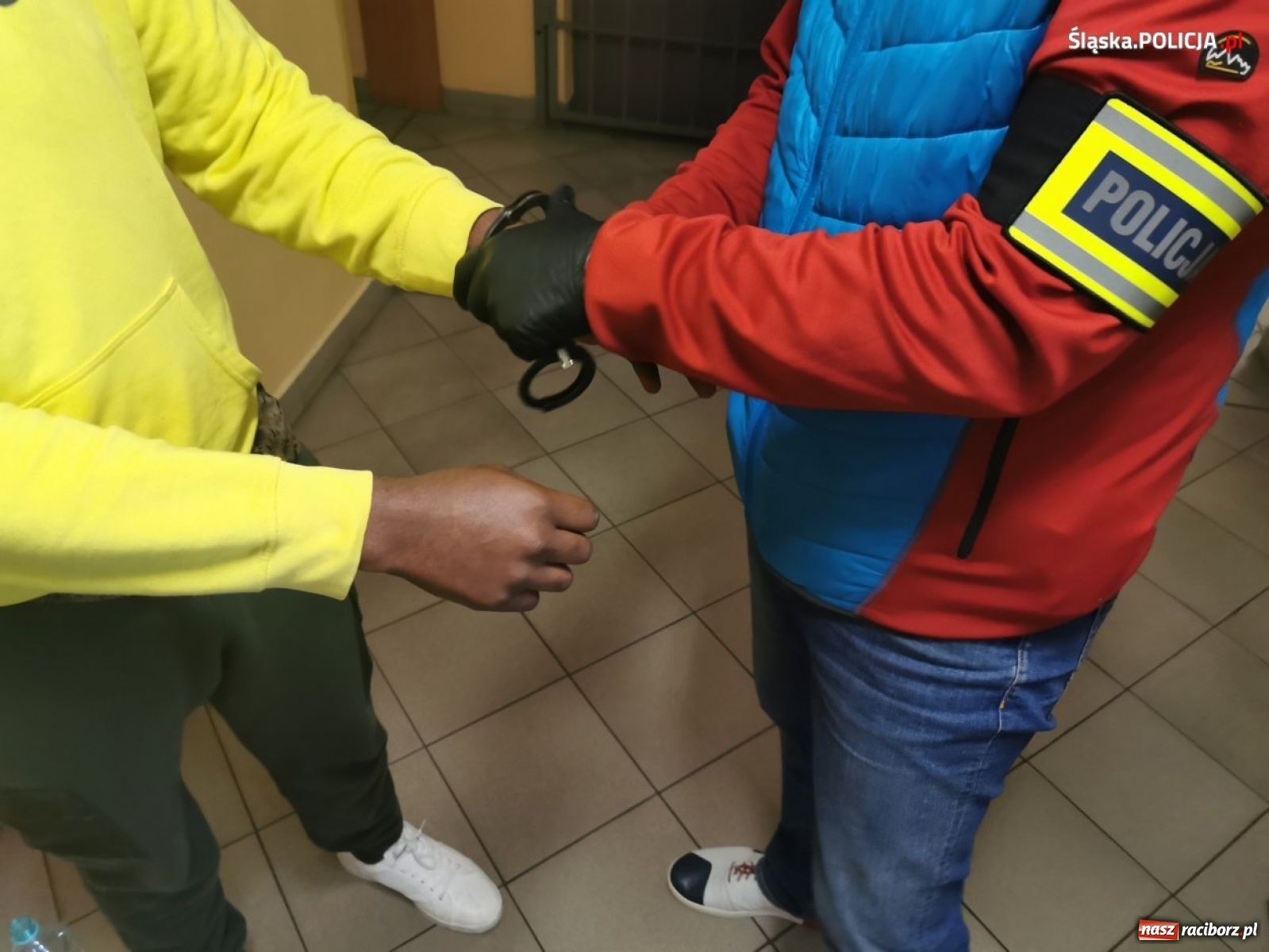 Zdjęcie w galerii na portalu naszraciborz.pl: Śląska policja zatrzymała członków międzynarodowego gangu wiadomości z regionu