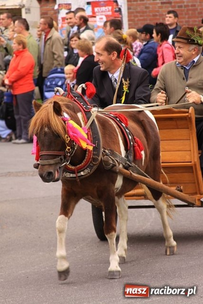 Zdjęcie w galerii na portalu naszraciborz.pl: Dożynkowe cukierki od strażaków wiadomości z regionu
