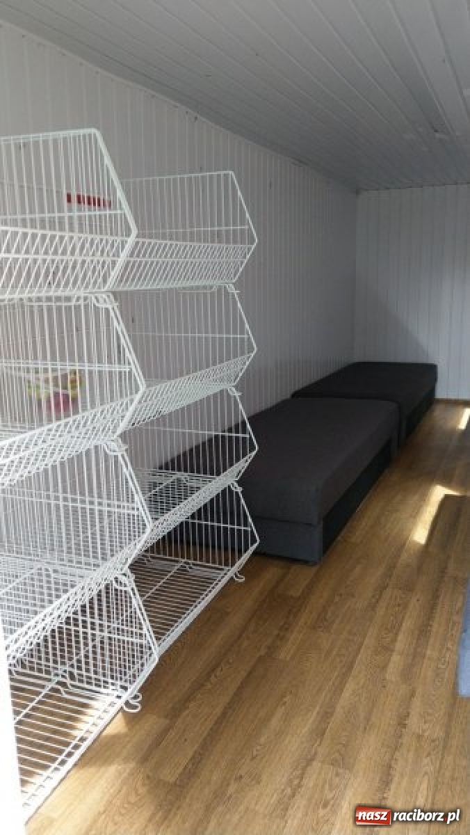 Zdjęcie w galerii na portalu naszraciborz.pl: Blisko połowa miejsc w Pleśnej wciąż wolna. Dwa turnusy odwołane wiadomości z regionu