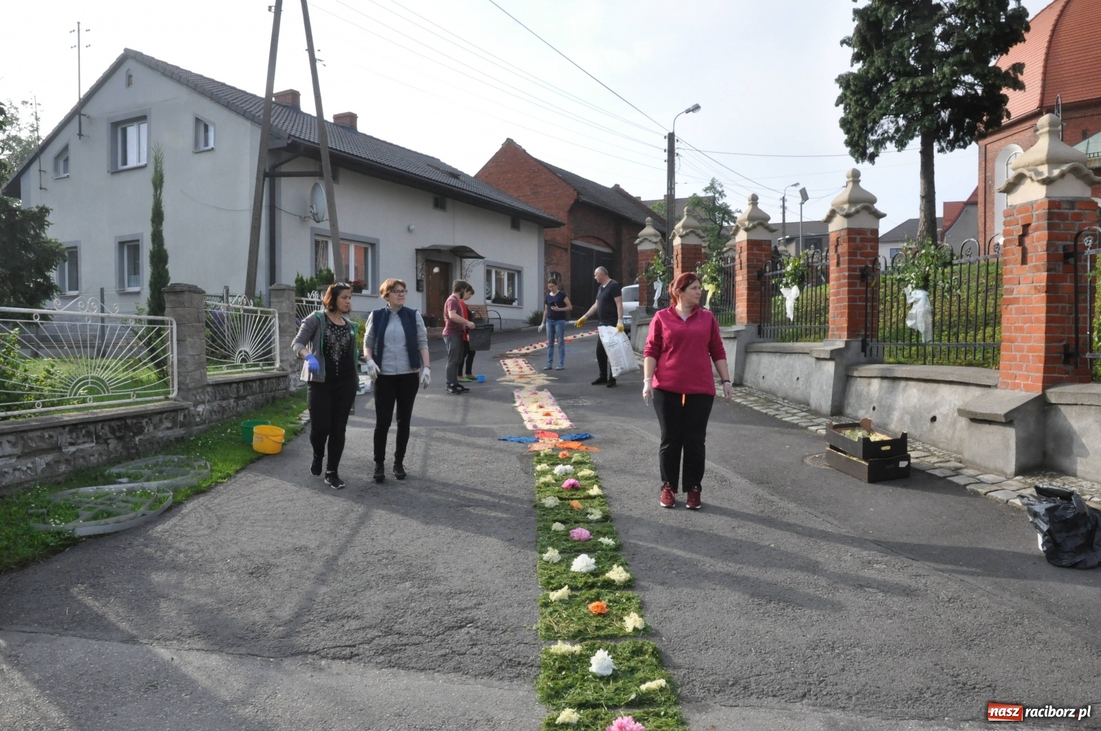 Zdjęcie w galerii na portalu naszraciborz.pl: Brzezie wierne tradycji. Piękne dywany na Boże Ciało [FOTO] wiadomości z regionu