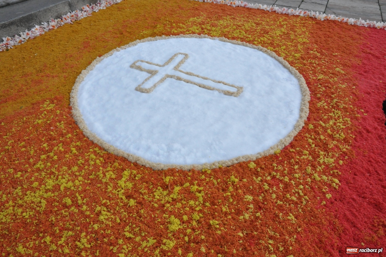 Zdjęcie w galerii na portalu naszraciborz.pl: Brzezie wierne tradycji. Piękne dywany na Boże Ciało [FOTO] wiadomości z regionu