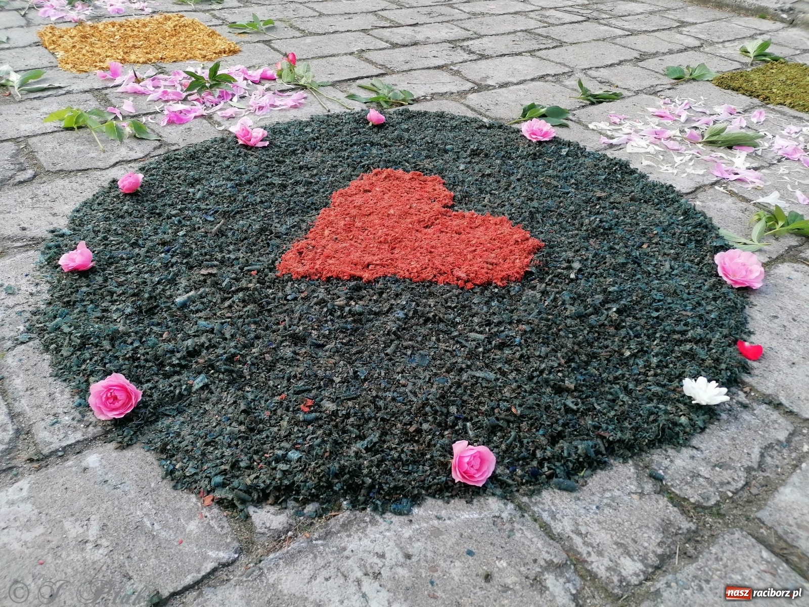 Zdjęcie w galerii na portalu naszraciborz.pl: Tak dziś przeżywano Boże Ciało w parafii Najświętszego Serca Pana Jezusa [FOTO i WIDEO]  wiadomości z regionu