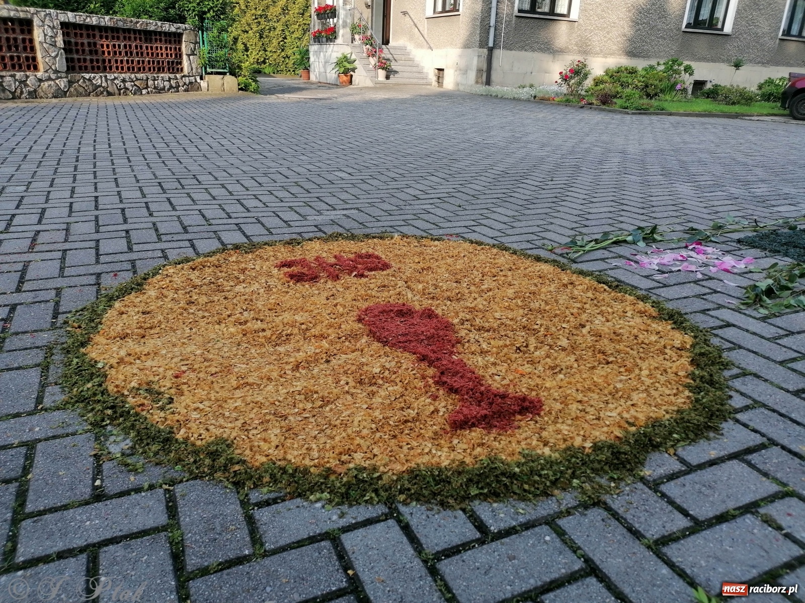 Zdjęcie w galerii na portalu naszraciborz.pl: Tak dziś przeżywano Boże Ciało w parafii Najświętszego Serca Pana Jezusa [FOTO i WIDEO]  wiadomości z regionu