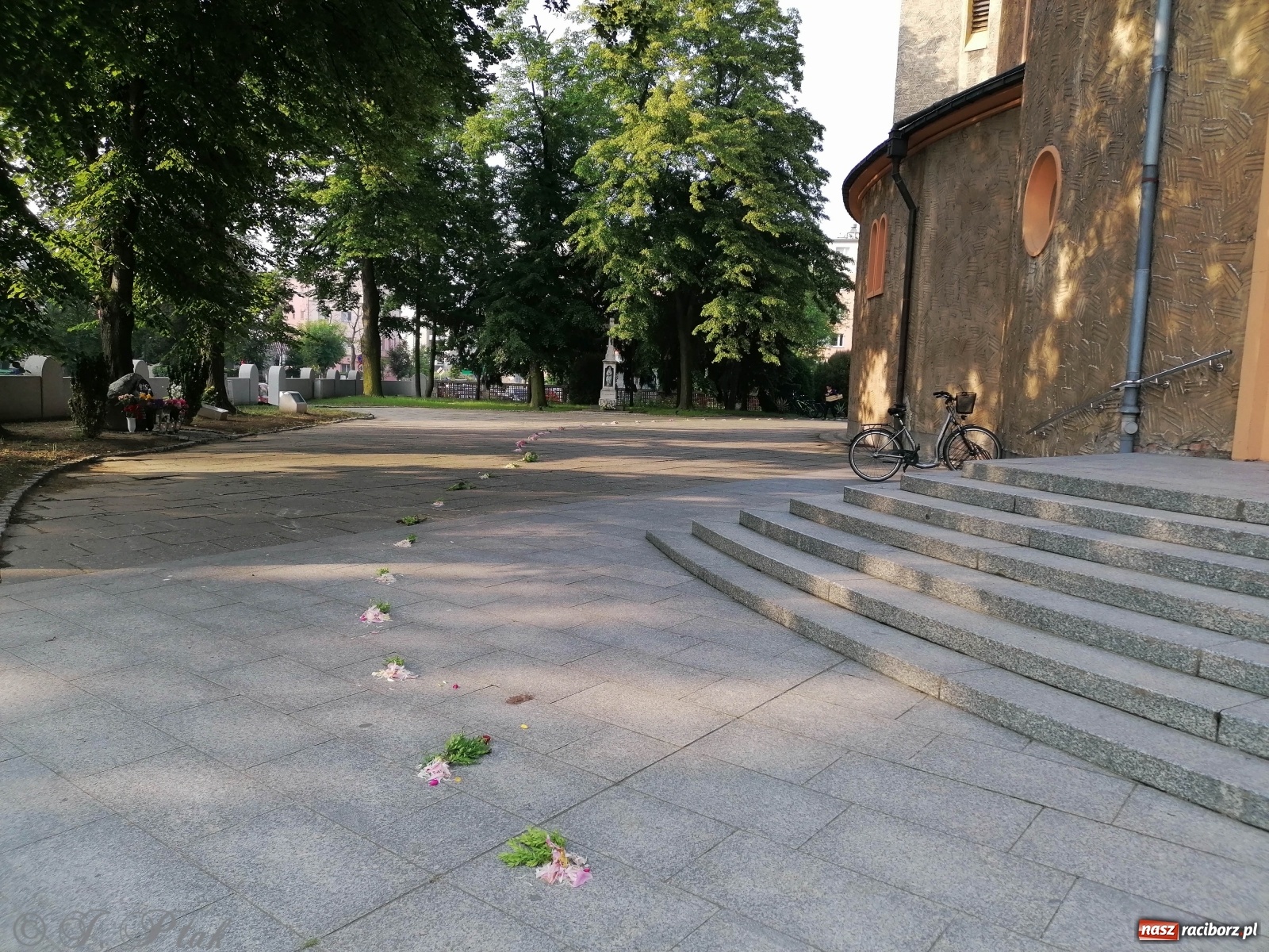 Zdjęcie w galerii na portalu naszraciborz.pl: Tak dziś przeżywano Boże Ciało w parafii Najświętszego Serca Pana Jezusa [FOTO i WIDEO]  wiadomości z regionu