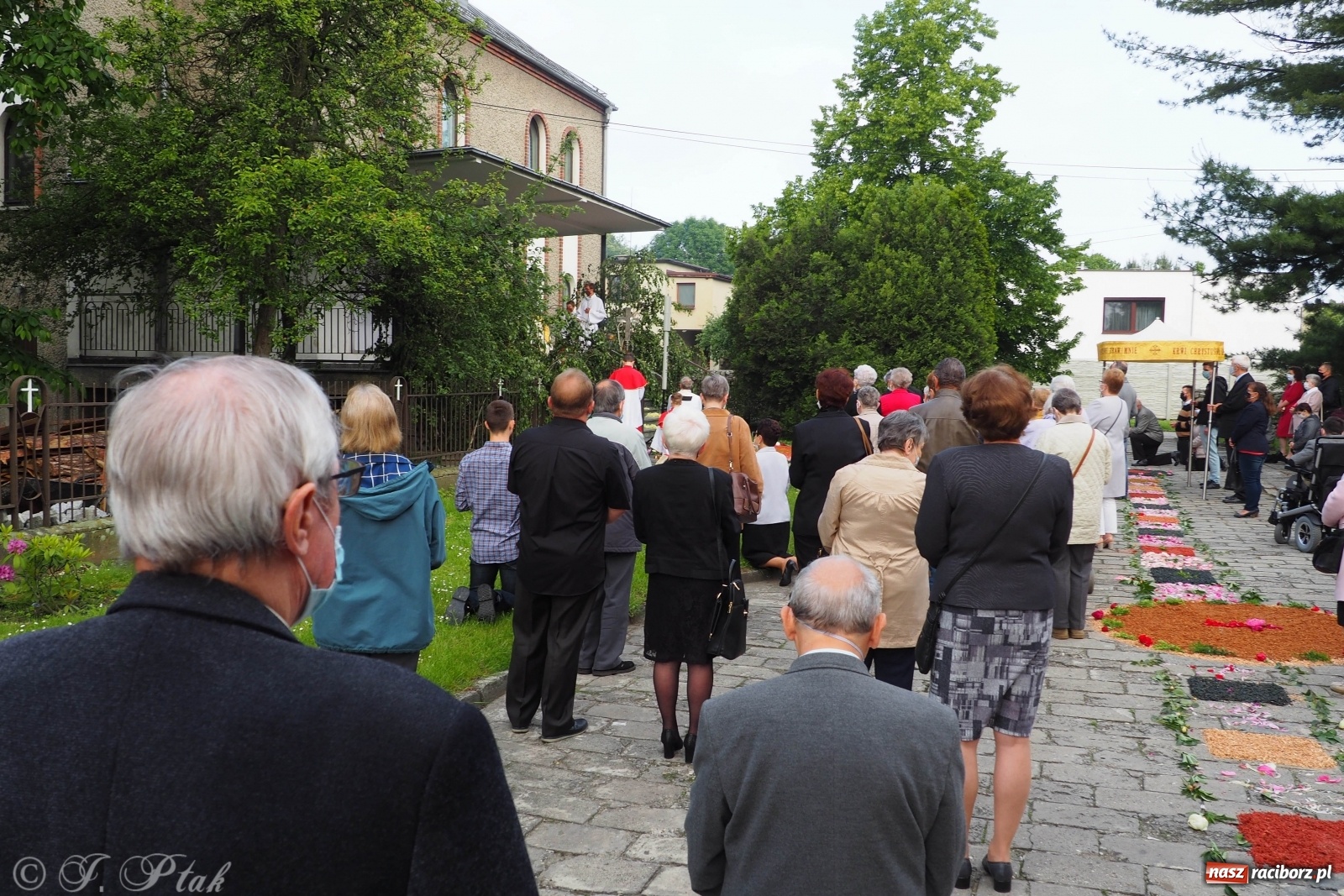 Zdjęcie w galerii na portalu naszraciborz.pl: Tak dziś przeżywano Boże Ciało w parafii Najświętszego Serca Pana Jezusa [FOTO i WIDEO]  wiadomości z regionu