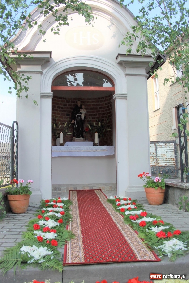 Zdjęcie w galerii na portalu naszraciborz.pl: W Wojnowicach Boże Ciało do czterech kaplic [FOTO] wiadomości z regionu