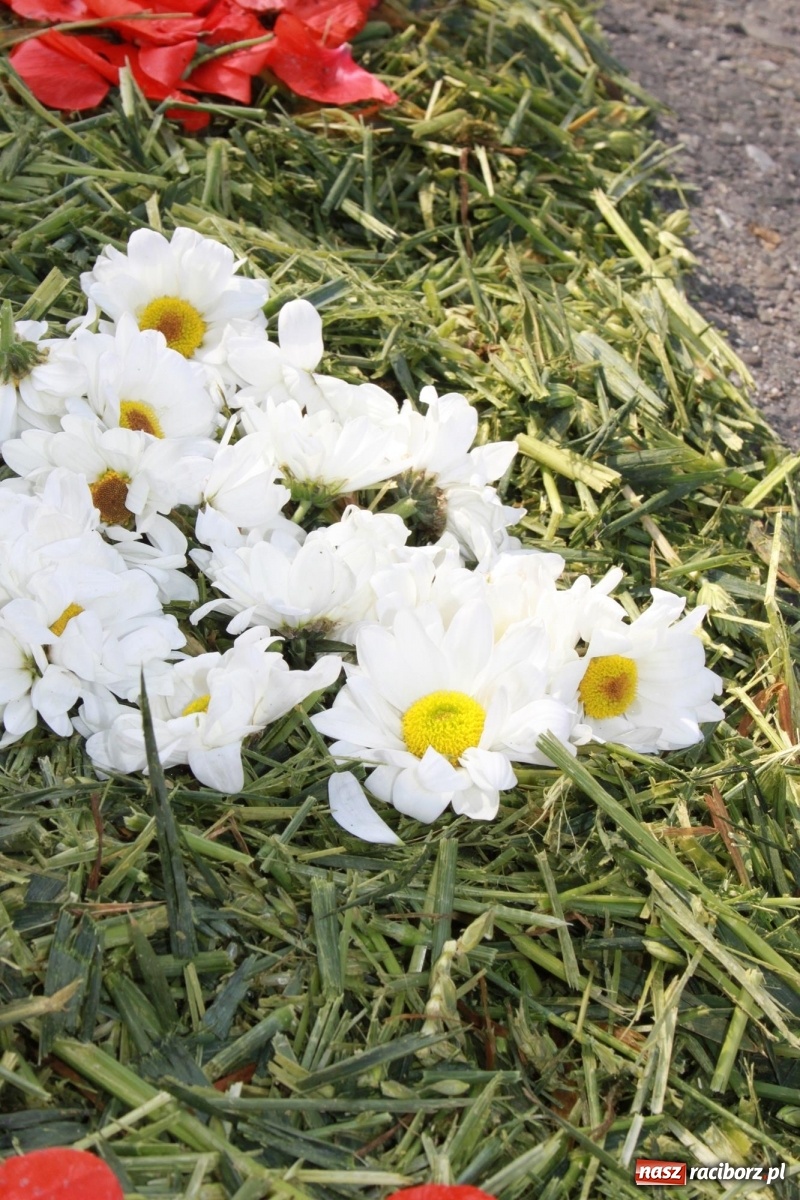 Zdjęcie w galerii na portalu naszraciborz.pl: W Wojnowicach Boże Ciało do czterech kaplic [FOTO] wiadomości z regionu