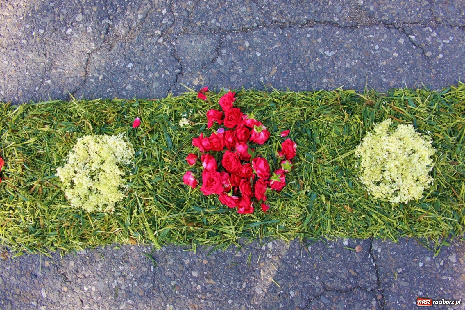 Zdjęcie w galerii na portalu naszraciborz.pl: W Wojnowicach Boże Ciało do czterech kaplic [FOTO] wiadomości z regionu