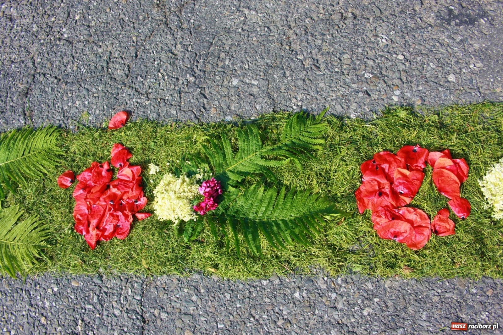 Zdjęcie w galerii na portalu naszraciborz.pl: W Wojnowicach Boże Ciało do czterech kaplic [FOTO] wiadomości z regionu