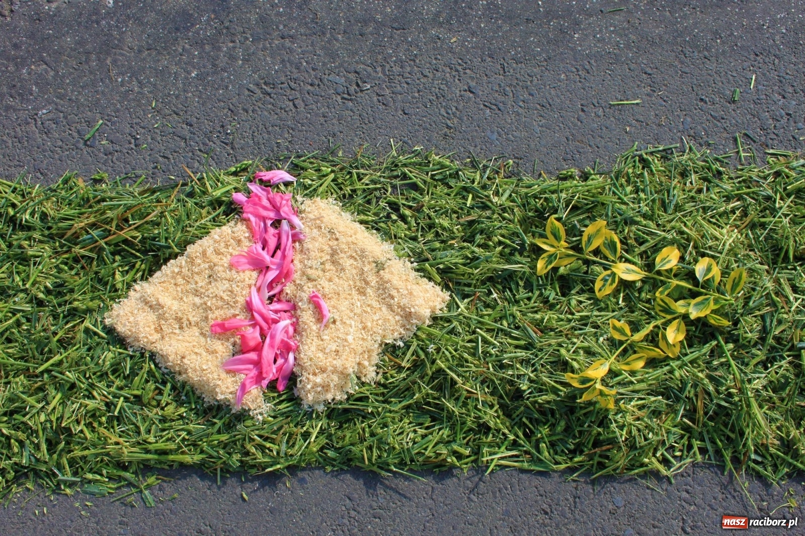Zdjęcie w galerii na portalu naszraciborz.pl: W Wojnowicach Boże Ciało do czterech kaplic [FOTO] wiadomości z regionu