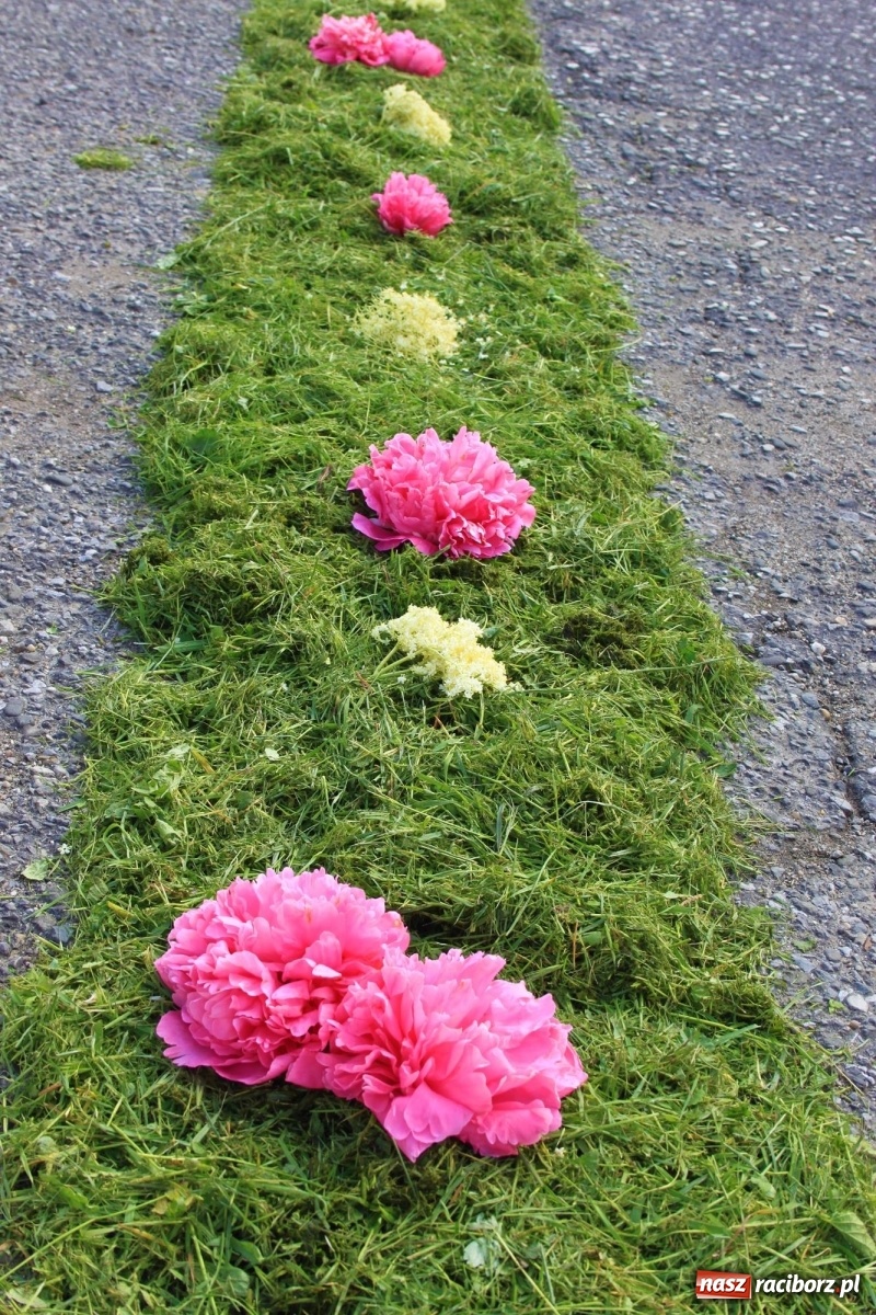 Zdjęcie w galerii na portalu naszraciborz.pl: W Wojnowicach Boże Ciało do czterech kaplic [FOTO] wiadomości z regionu
