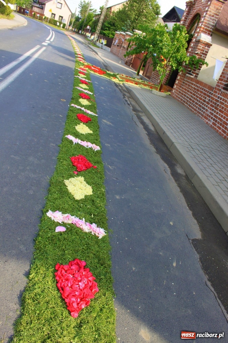 Zdjęcie w galerii na portalu naszraciborz.pl: W Wojnowicach Boże Ciało do czterech kaplic [FOTO] wiadomości z regionu
