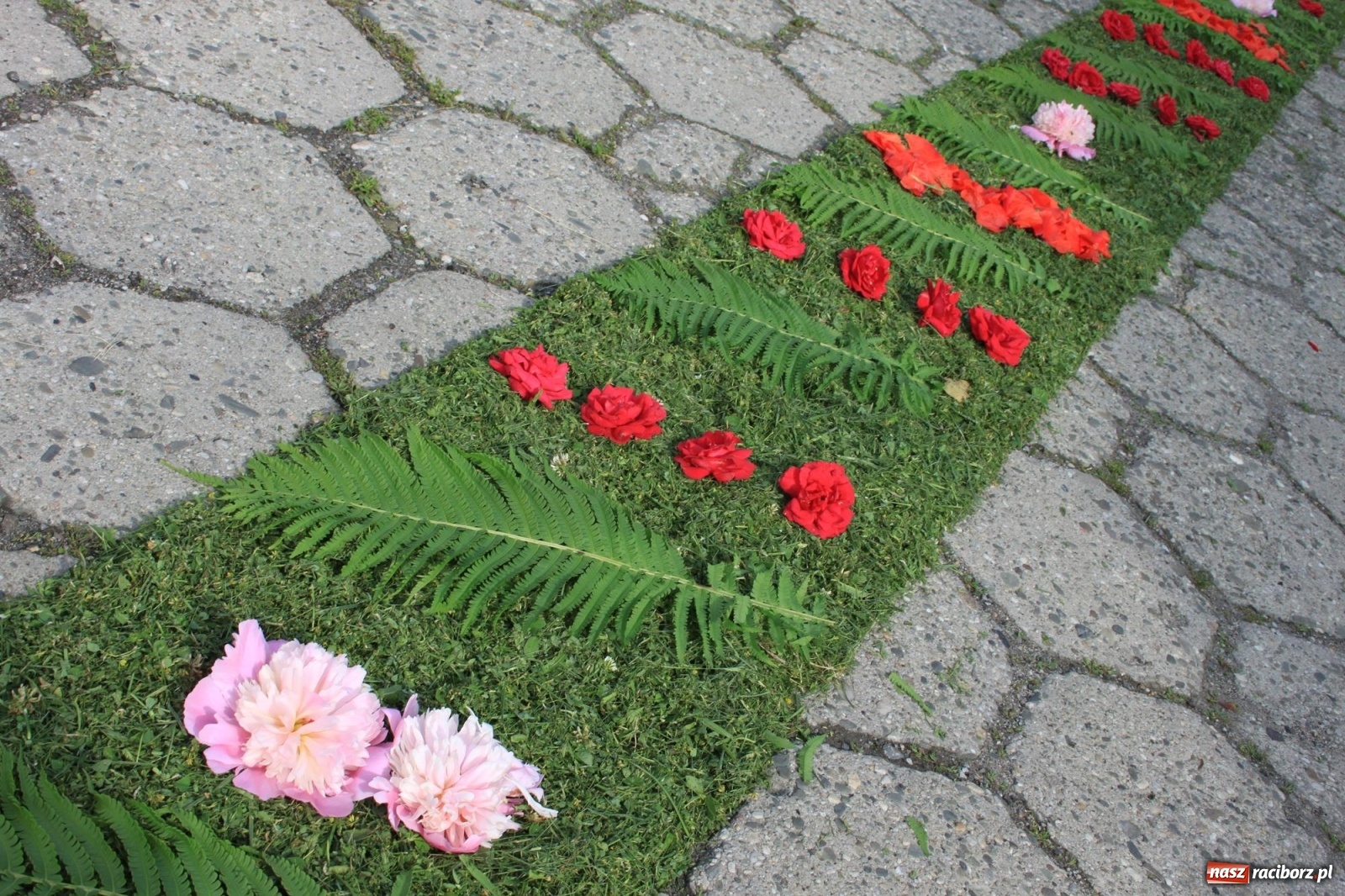 Zdjęcie w galerii na portalu naszraciborz.pl: W Wojnowicach Boże Ciało do czterech kaplic [FOTO] wiadomości z regionu