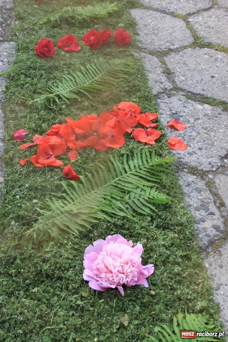 Zdjęcie w galerii na portalu naszraciborz.pl: W Wojnowicach Boże Ciało do czterech kaplic [FOTO] wiadomości z regionu