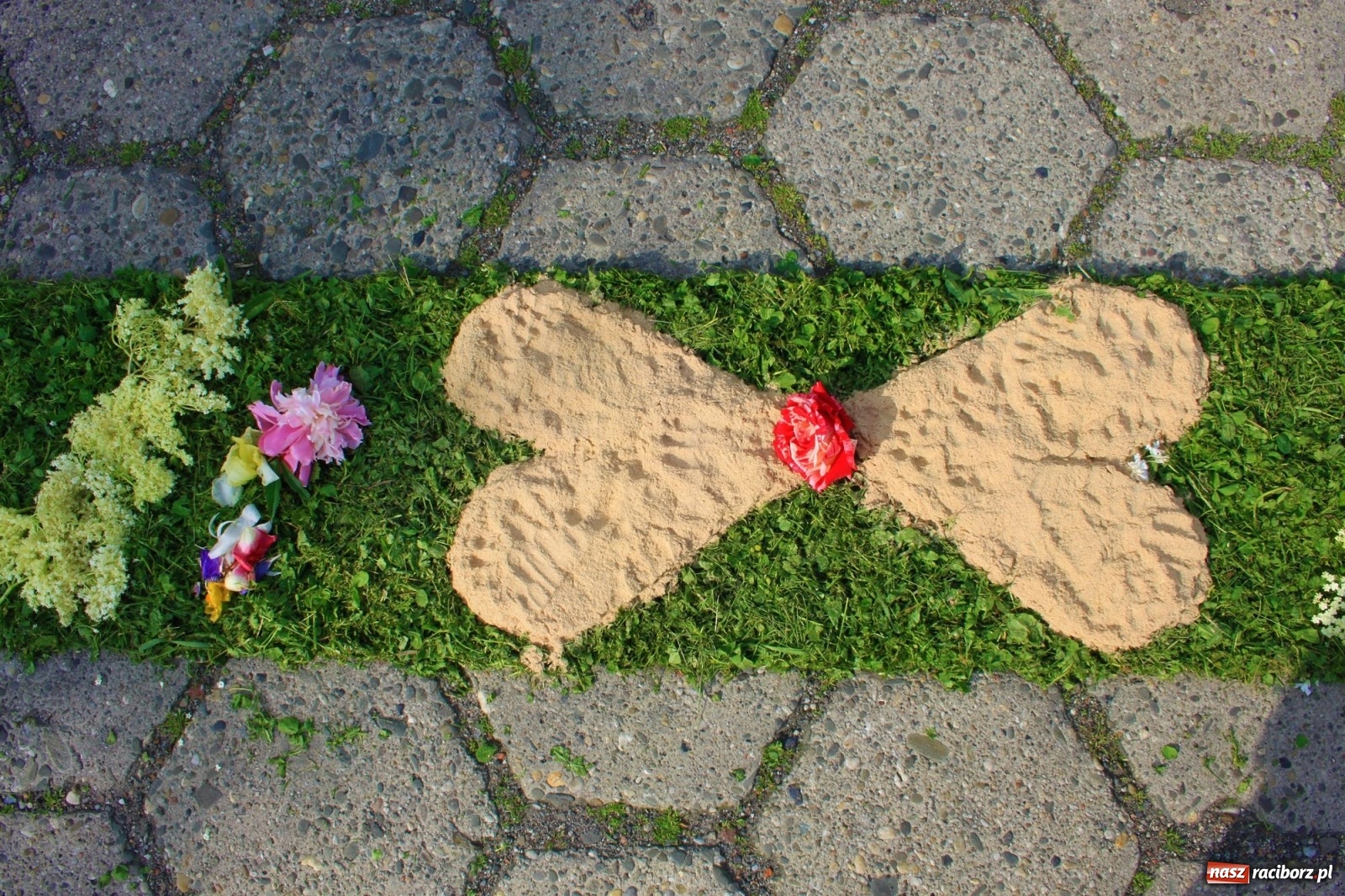 Zdjęcie w galerii na portalu naszraciborz.pl: W Wojnowicach Boże Ciało do czterech kaplic [FOTO] wiadomości z regionu