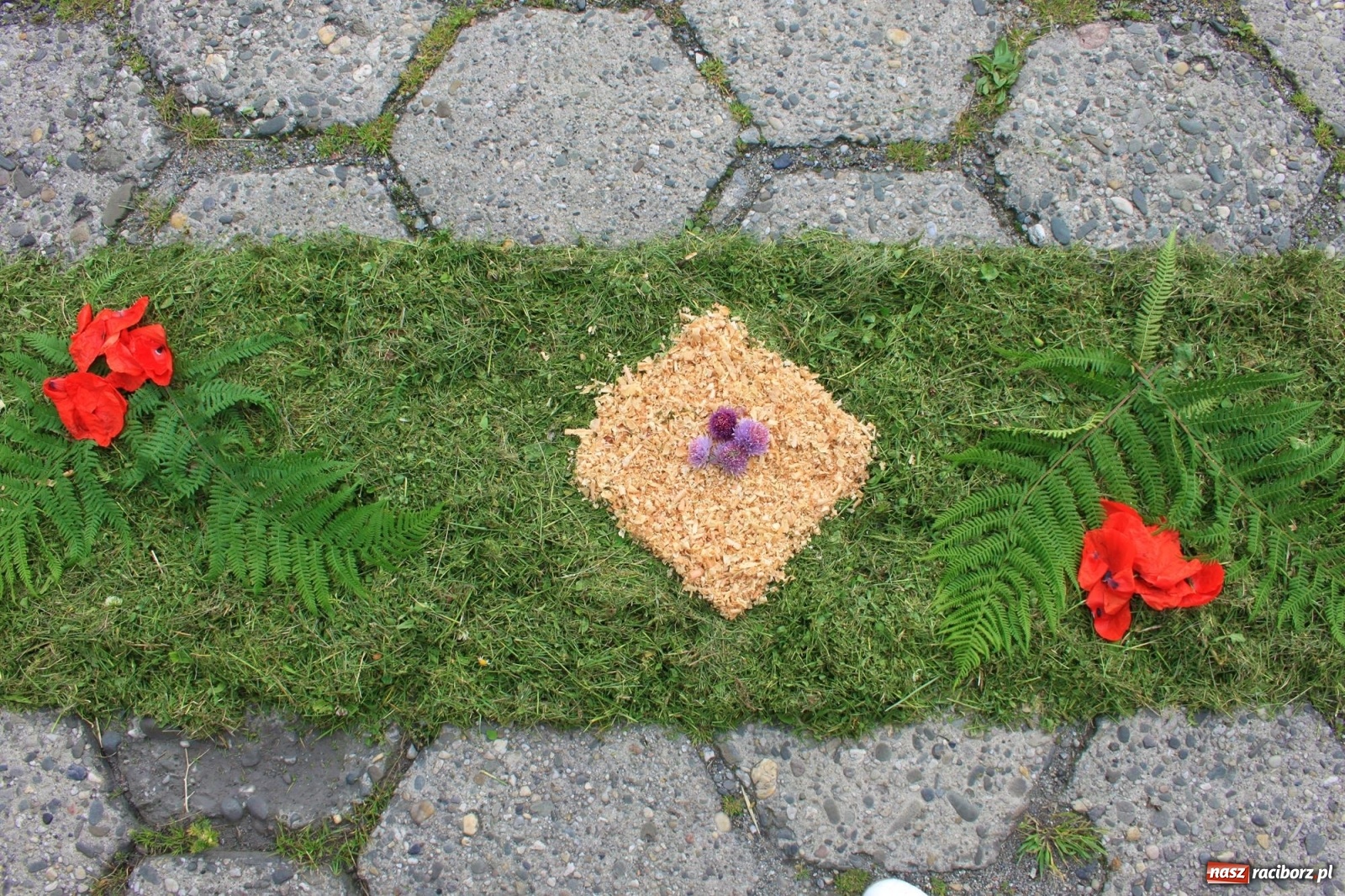 Zdjęcie w galerii na portalu naszraciborz.pl: W Wojnowicach Boże Ciało do czterech kaplic [FOTO] wiadomości z regionu