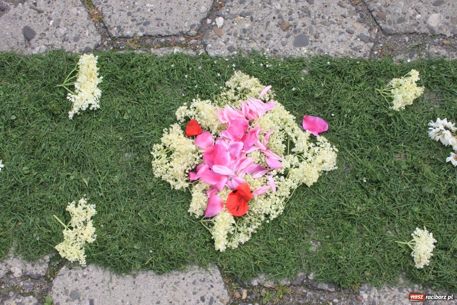 Zdjęcie w galerii na portalu naszraciborz.pl: W Wojnowicach Boże Ciało do czterech kaplic [FOTO] wiadomości z regionu