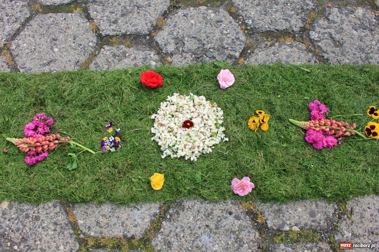 Zdjęcie w galerii na portalu naszraciborz.pl: W Wojnowicach Boże Ciało do czterech kaplic [FOTO] wiadomości z regionu