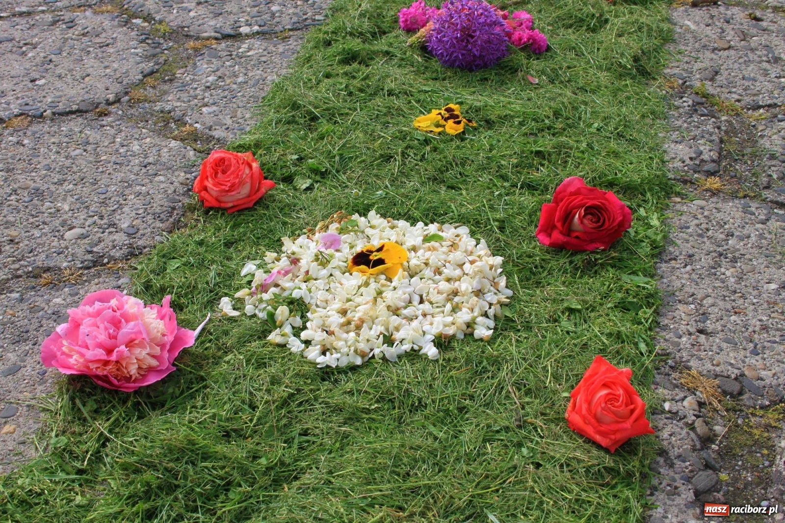 Zdjęcie w galerii na portalu naszraciborz.pl: W Wojnowicach Boże Ciało do czterech kaplic [FOTO] wiadomości z regionu