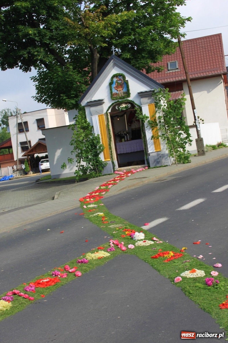 Zdjęcie w galerii na portalu naszraciborz.pl: W Wojnowicach Boże Ciało do czterech kaplic [FOTO] wiadomości z regionu
