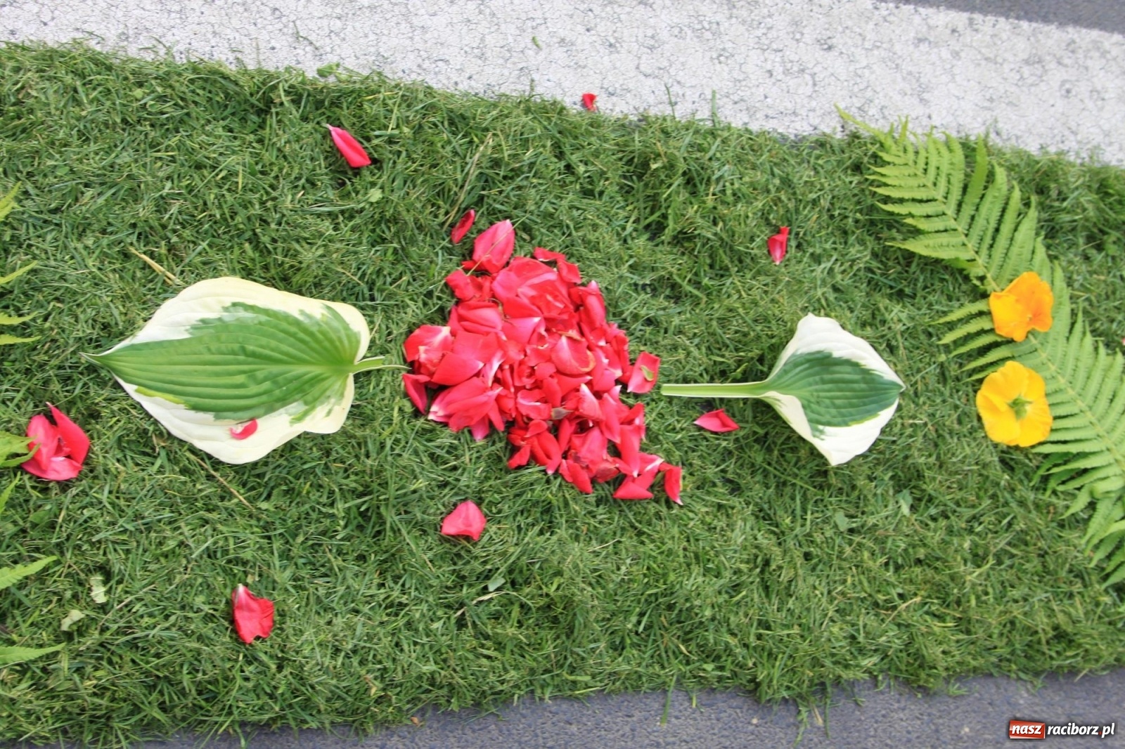 Zdjęcie w galerii na portalu naszraciborz.pl: W Wojnowicach Boże Ciało do czterech kaplic [FOTO] wiadomości z regionu