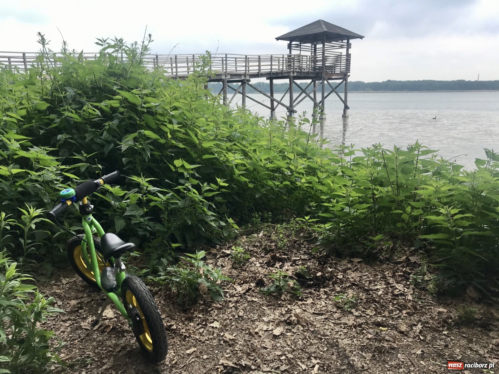 Zdjęcie w galerii na portalu naszraciborz.pl: RCT zaprasza na wędrówki po ziemi raciborskiej  wiadomości z regionu