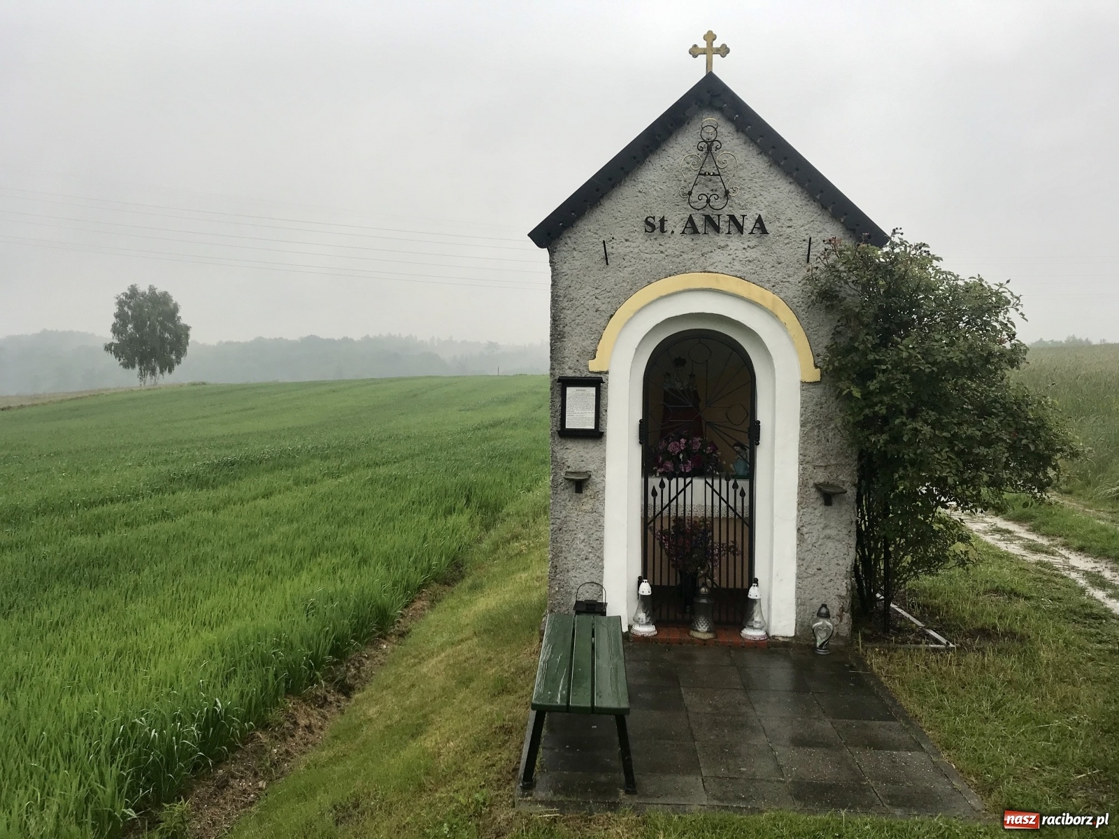 Zdjęcie w galerii na portalu naszraciborz.pl: RCT zaprasza na wędrówki po ziemi raciborskiej  wiadomości z regionu