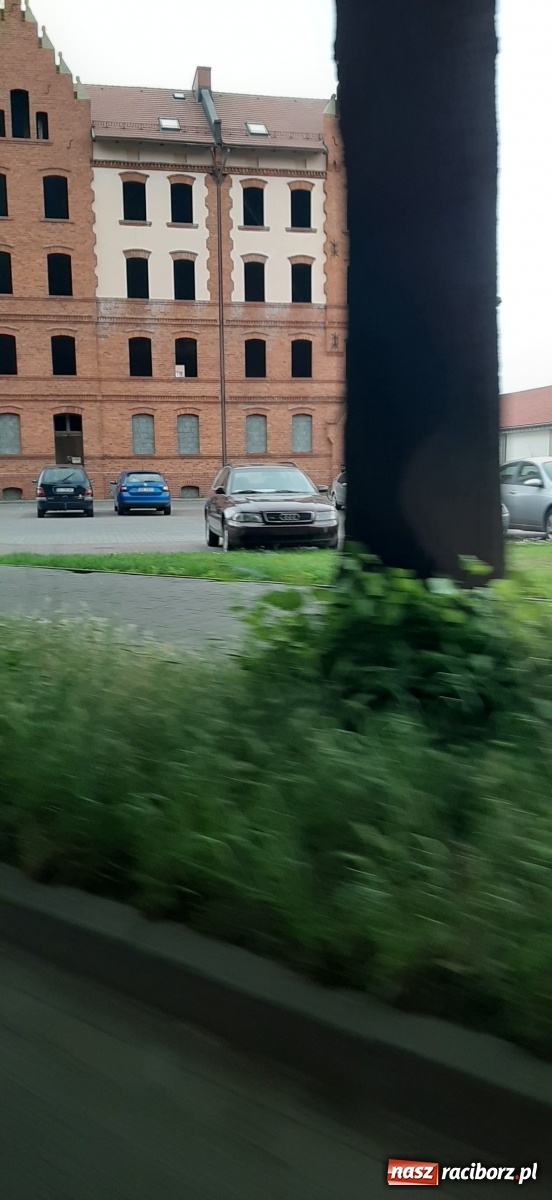 Zdjęcie w galerii na portalu naszraciborz.pl: Racibórz zarasta trawami. Akurat! Oto stanowisko Urzędu Miasta  wiadomości z regionu