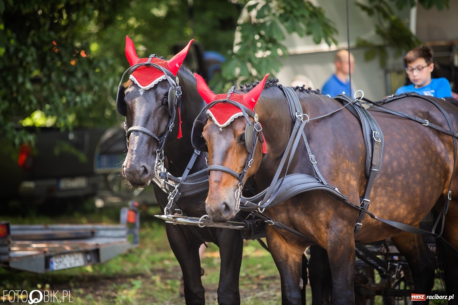 Zdjęcie w galerii na portalu naszraciborz.pl: II Konna Procesja św. Urbana w Łubowicach wiadomości z regionu