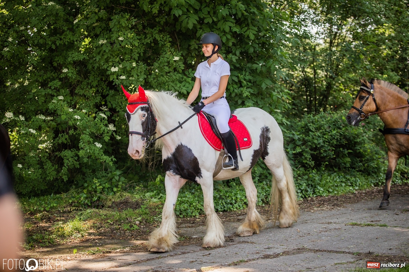 Zdjęcie w galerii na portalu naszraciborz.pl: II Konna Procesja św. Urbana w Łubowicach wiadomości z regionu