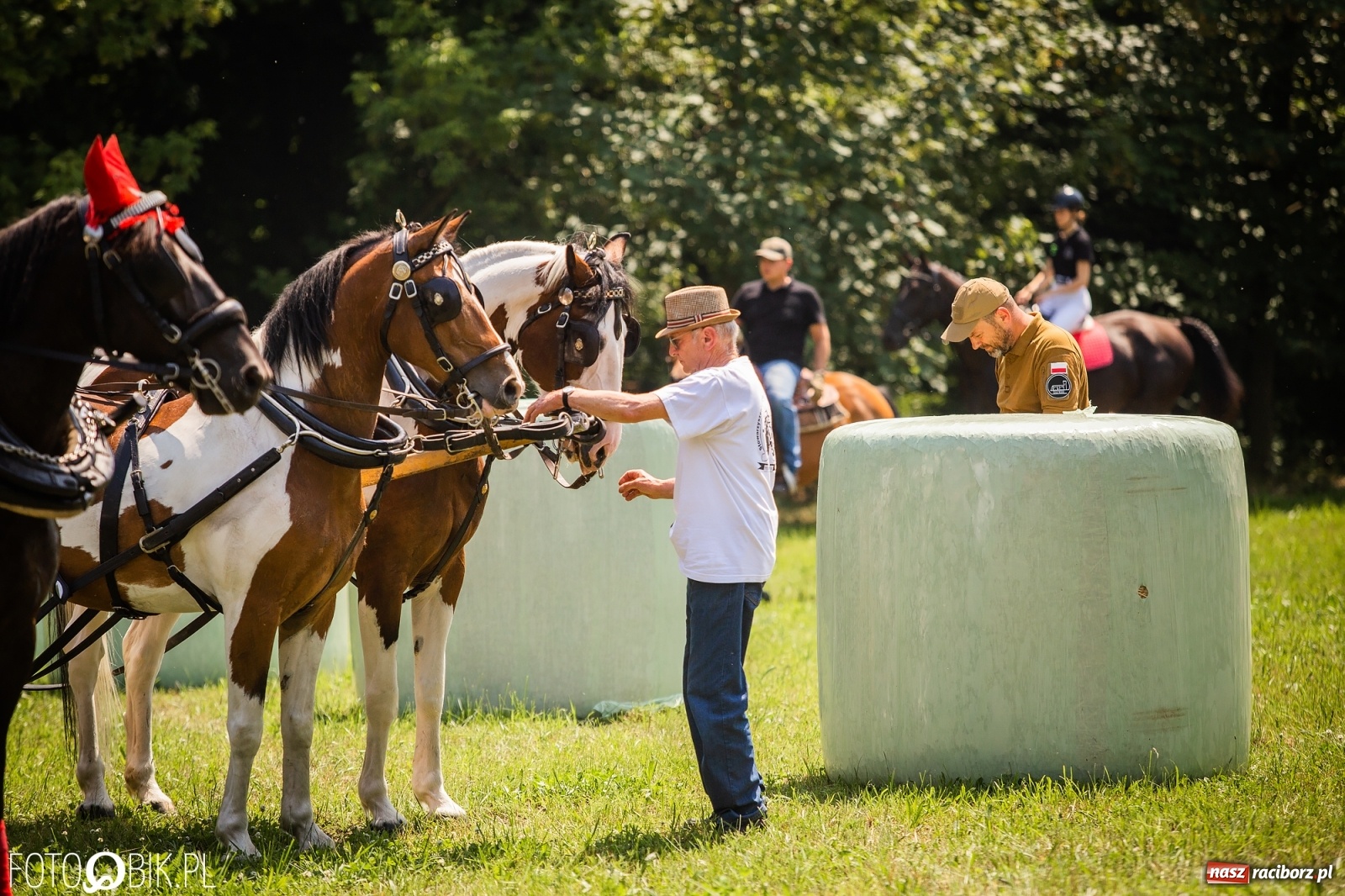 Zdjęcie w galerii na portalu naszraciborz.pl: II Konna Procesja św. Urbana w Łubowicach wiadomości z regionu