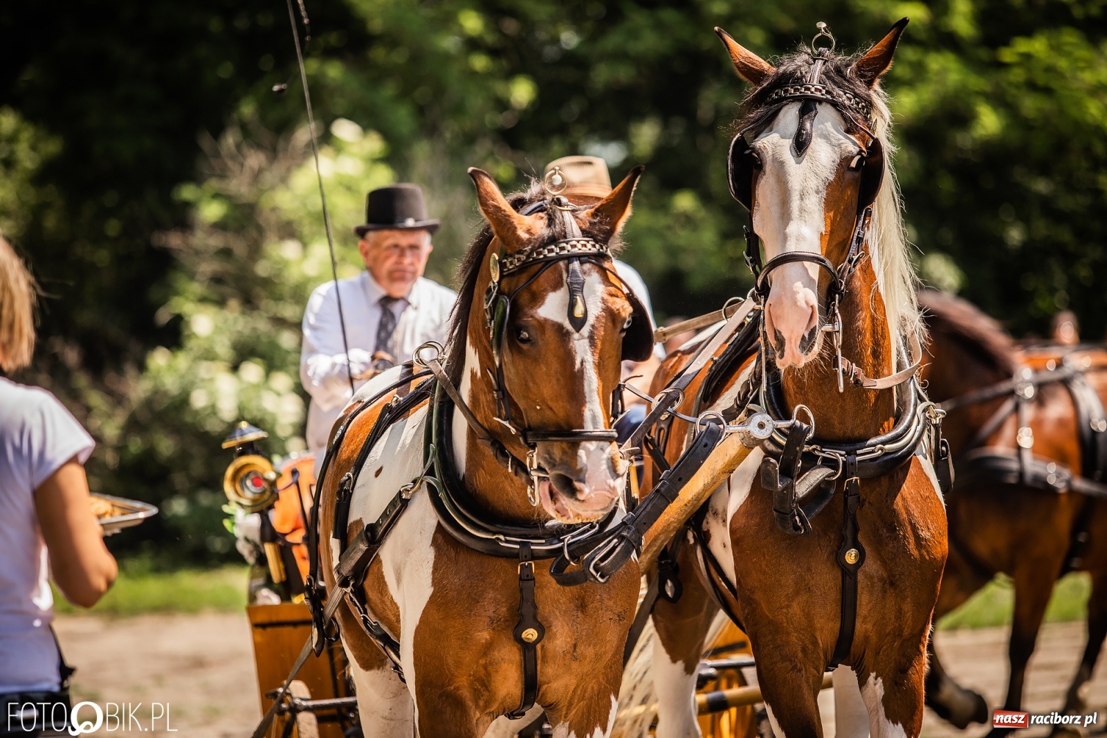 Zdjęcie w galerii na portalu naszraciborz.pl: II Konna Procesja św. Urbana w Łubowicach wiadomości z regionu
