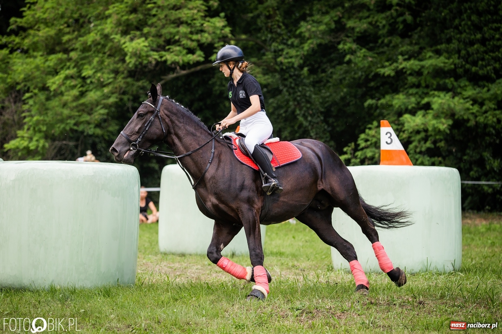 Zdjęcie w galerii na portalu naszraciborz.pl: II Konna Procesja św. Urbana w Łubowicach wiadomości z regionu