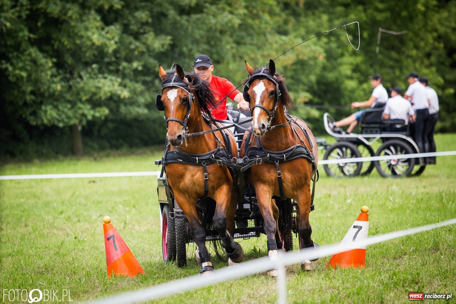 Zdjęcie w galerii na portalu naszraciborz.pl: II Konna Procesja św. Urbana w Łubowicach wiadomości z regionu
