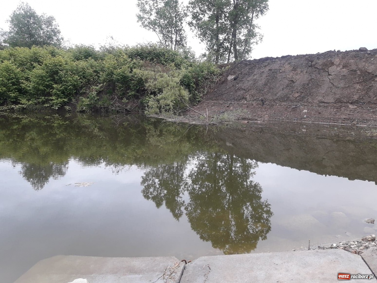 Zdjęcie w galerii na portalu naszraciborz.pl: Racibórz ma nowe miejsca do wodowania jednostek pływających [FOTO] wiadomości z regionu