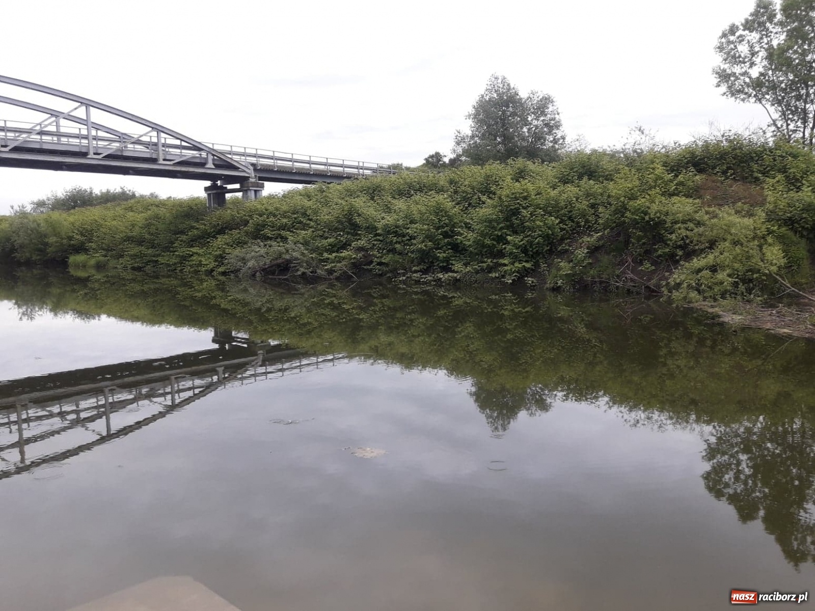 Zdjęcie w galerii na portalu naszraciborz.pl: Racibórz ma nowe miejsca do wodowania jednostek pływających [FOTO] wiadomości z regionu