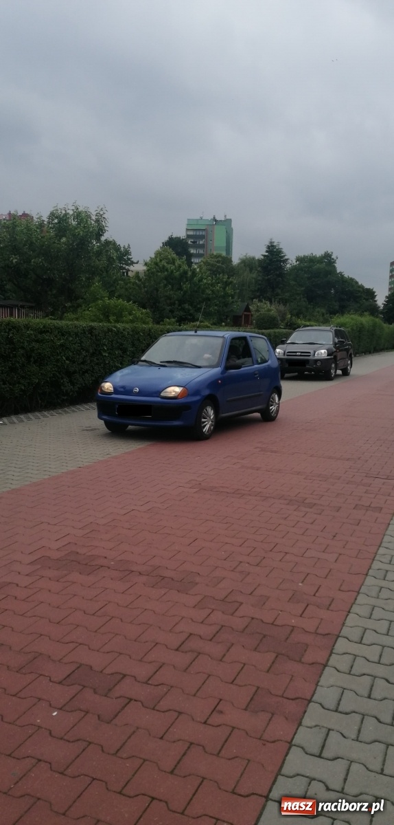 Zdjęcie w galerii na portalu naszraciborz.pl: List do redakcji. Dlaczego nikt się tym nie interesuje!  wiadomości z regionu