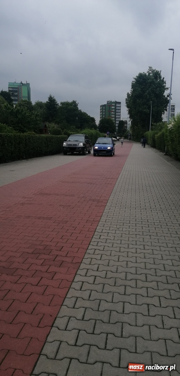 Zdjęcie w galerii na portalu naszraciborz.pl: List do redakcji. Dlaczego nikt się tym nie interesuje!  wiadomości z regionu