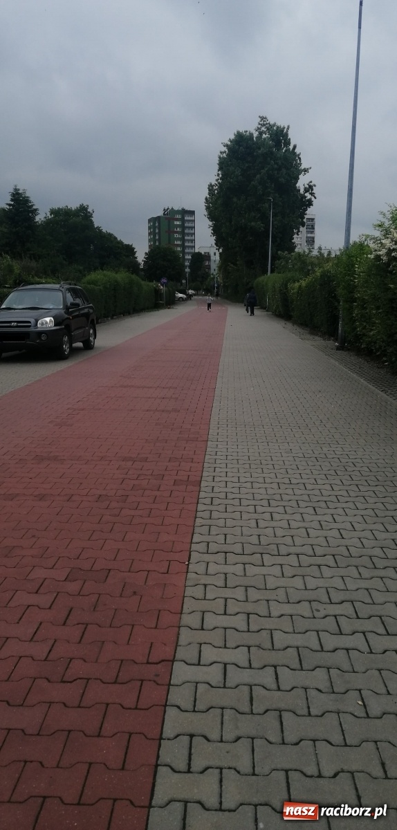 Zdjęcie w galerii na portalu naszraciborz.pl: List do redakcji. Dlaczego nikt się tym nie interesuje!  wiadomości z regionu