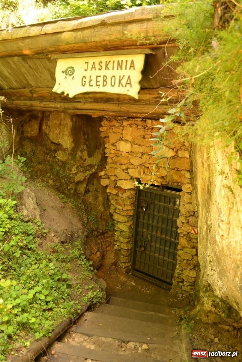 Zdjęcie w galerii na portalu naszraciborz.pl: Klub Podróżnika ORINOKO wznawia działalność! Na początek – Skarby Jury!  wiadomości z regionu