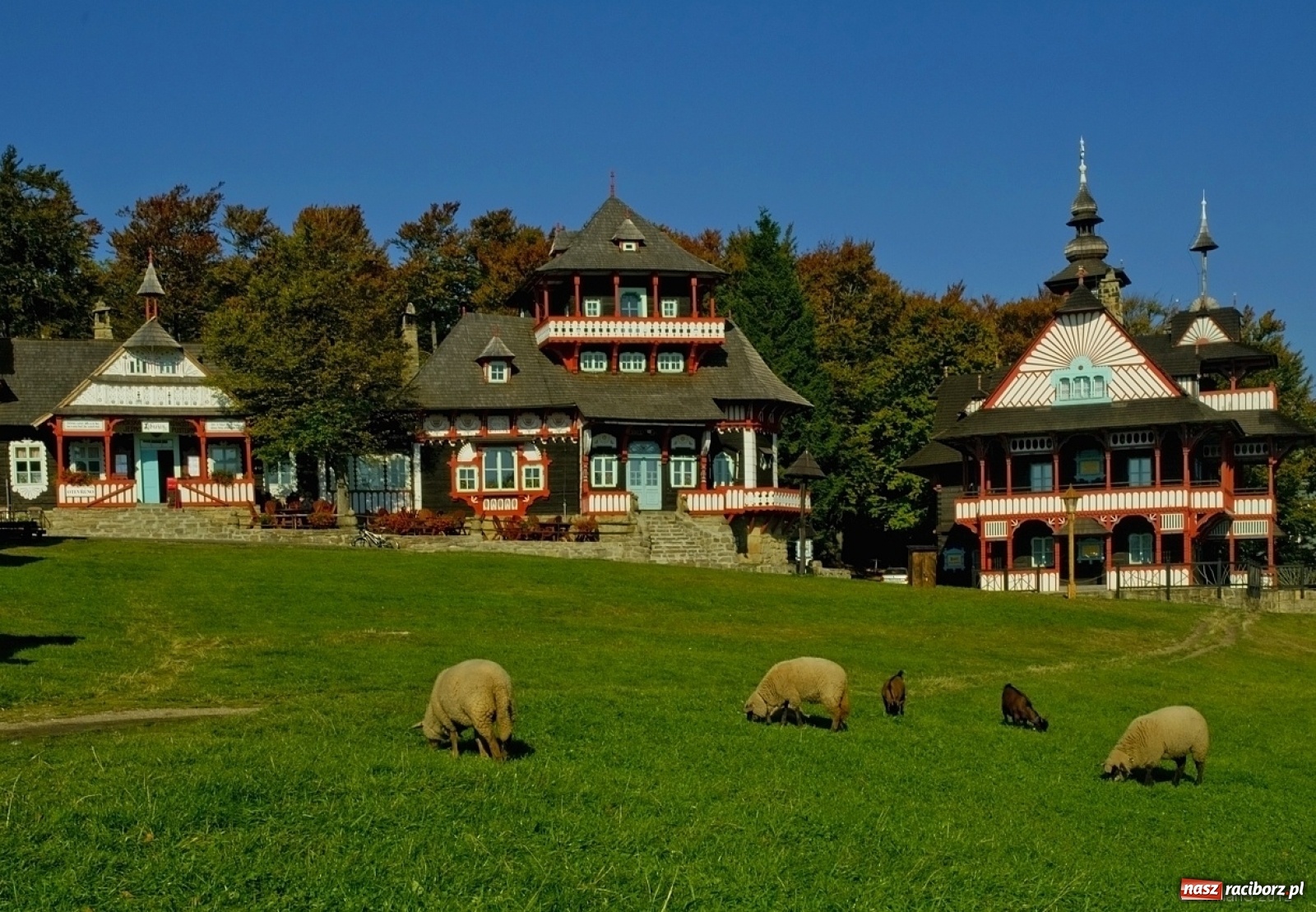 Zdjęcie w galerii na portalu naszraciborz.pl: Klub Podróżnika ORINOKO wznawia działalność! Na początek – Skarby Jury!  wiadomości z regionu