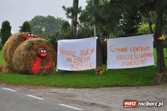 Zdjęcie w galerii na portalu naszraciborz.pl: Z Grzegorzowic do Łubowic... wiadomości z regionu